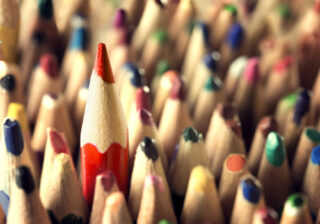 Zur ECR Organisation gehört die ECR Austria Managerin, die hier als roter Buntstift in einer Gruppe von Buntstiften gezeigt wird